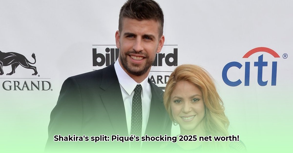 pique-net-worth